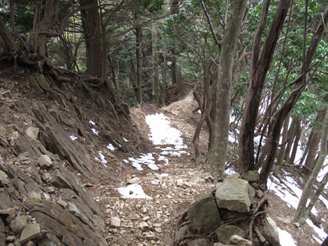 20170113hike (345)